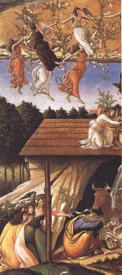 Sandro Botticelli Mystic Nativity Germany oil painting art